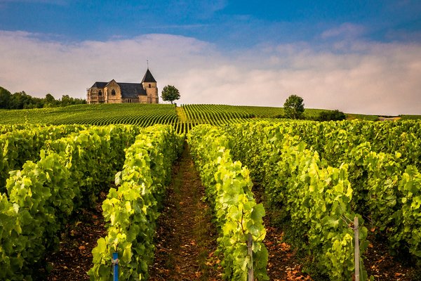 Peut-on trouver une location de vacances en Allemagne avec des cours de cuisine et des visites de vignobles?